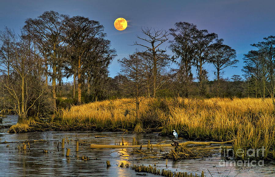 Pawleys Island Marsh Moon Photograph by Mike Covington