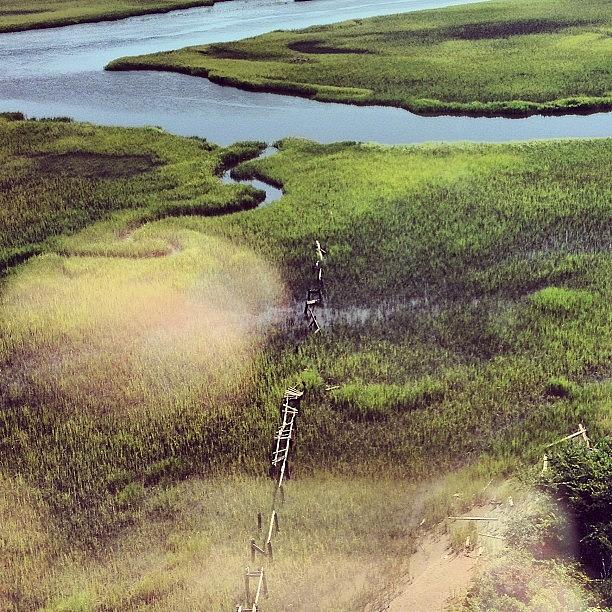 Marsh Photograph - #marsh #oldbaldy by Courtney Mccorkle