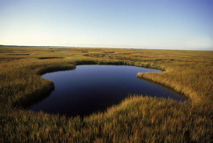 Abandoned Photograph - Marsh On Cape Cod by Jose Azel Abandoned Photograph - Marsh On Cape Cod by Jose Azel