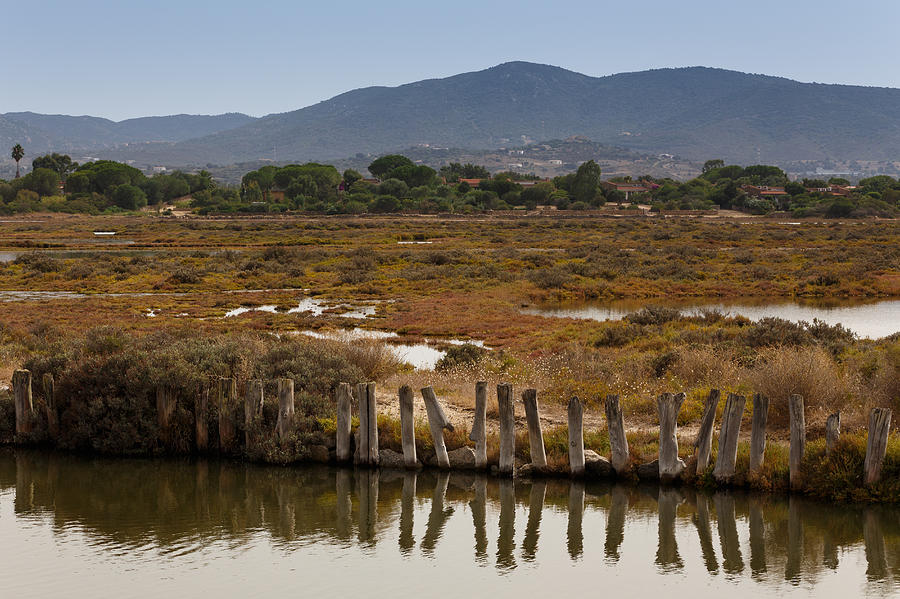 Italy Photograph - Marsh by Paul Indigo Italy Photograph - Marsh by Paul Indigo