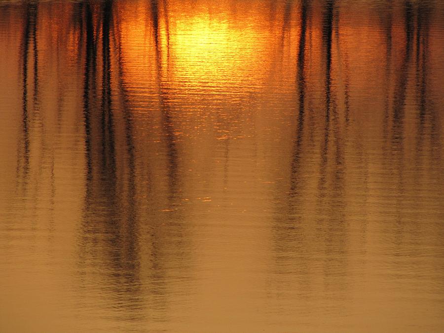 Marsh Reflections Photograph by Lori Frisch