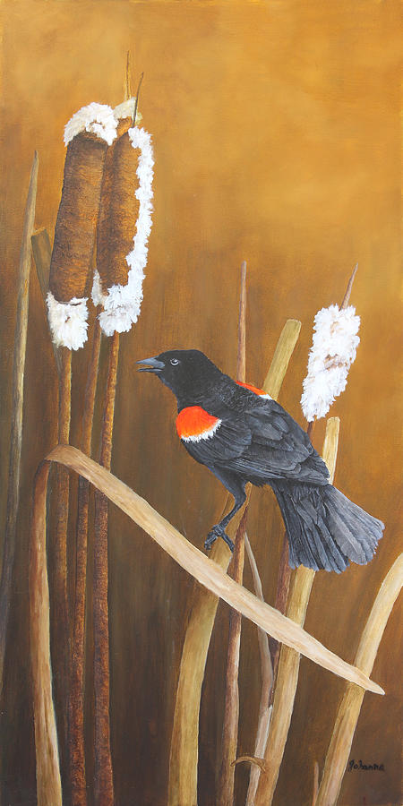 Marsh Song - Red-winged Blackbird Painting by Johanna Lerwick