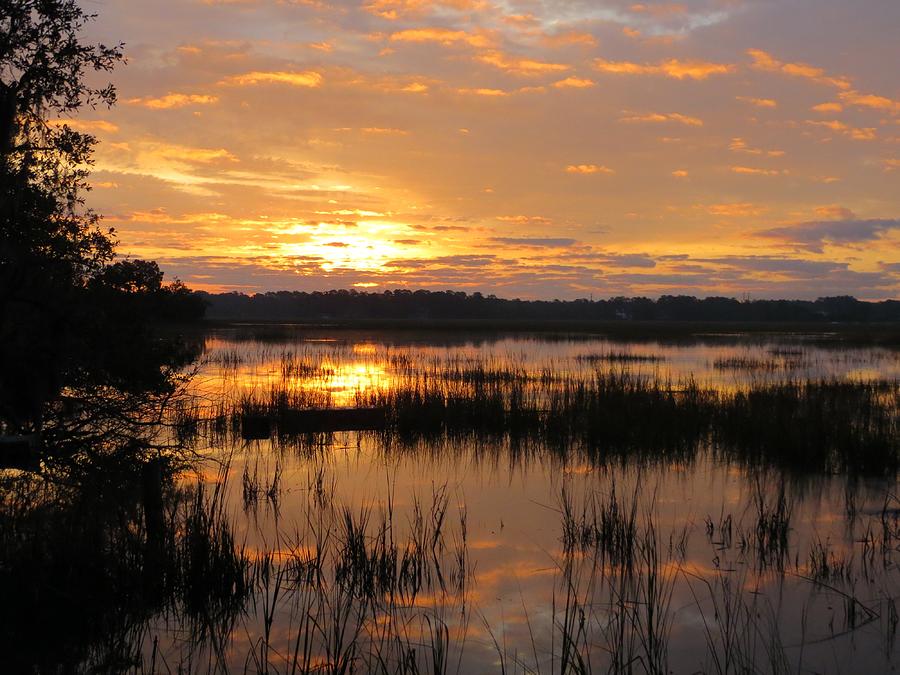 Marsh sunrise 2 Photograph by Todd Smith - Fine Art America