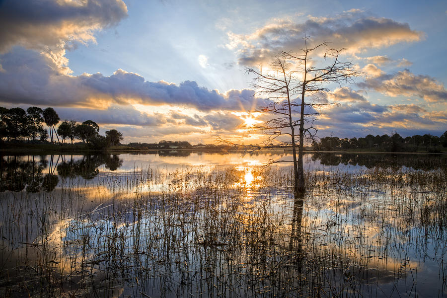 Spring Photograph - Marsh Sunrise by Debra and Dave Vanderlaan