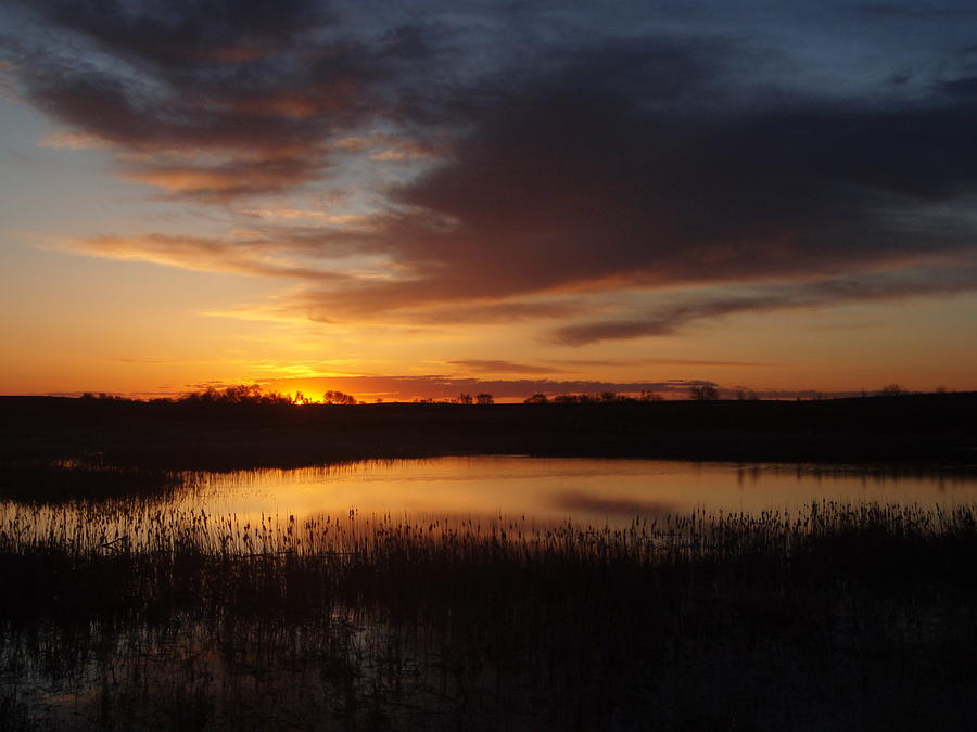 Marsh Sunrise Photograph by James Peterson