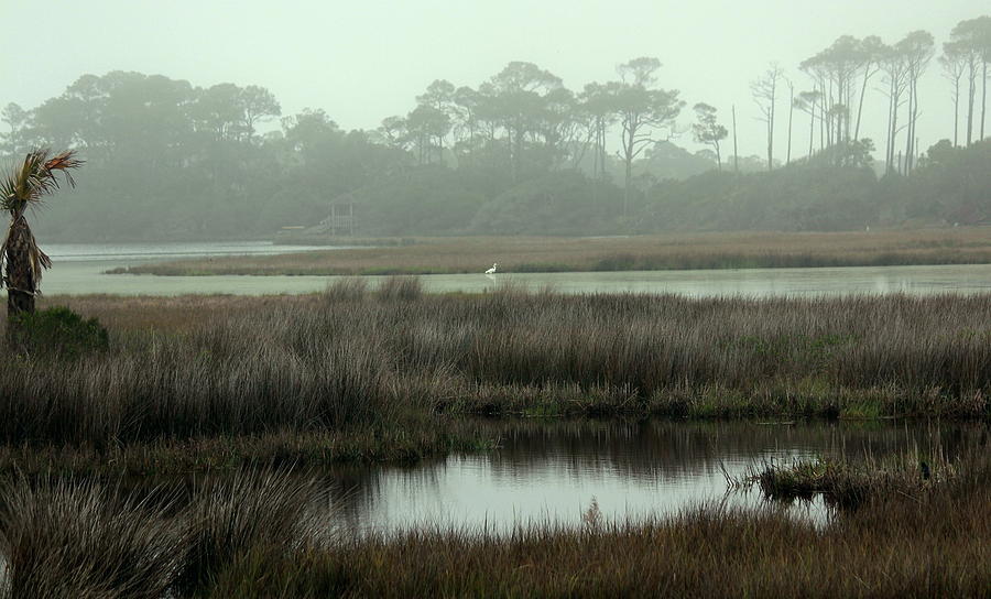 Egret Photograph - Marsh View at Ocean Course by Rosanne Jordan