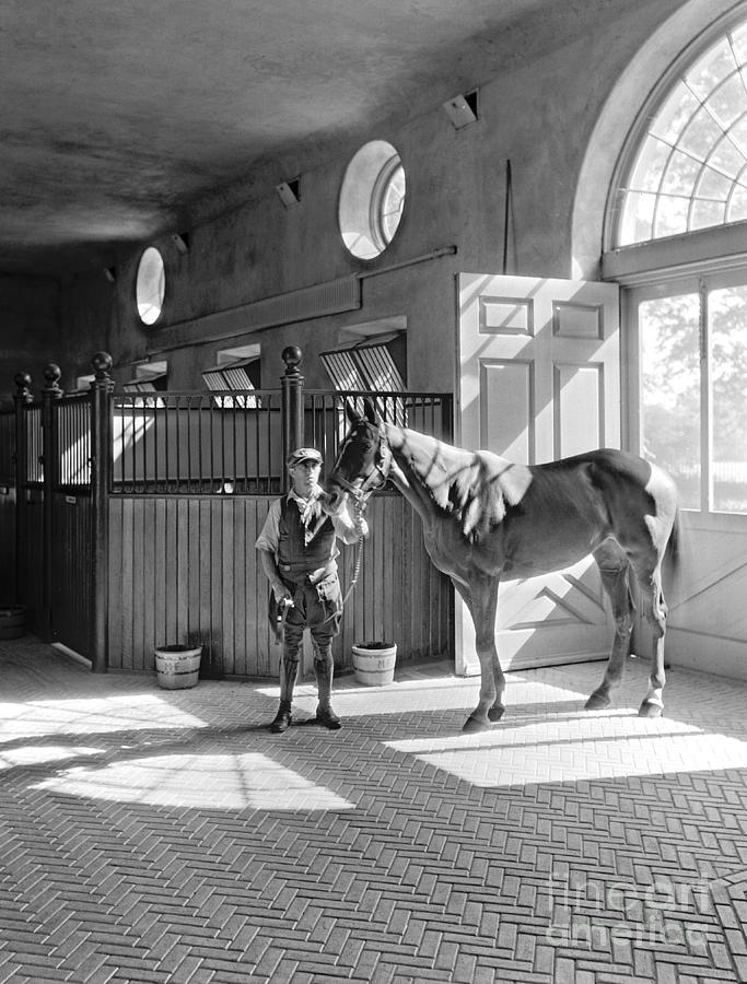 Horse Photograph - Marshall Field III 1933 by Padre Art