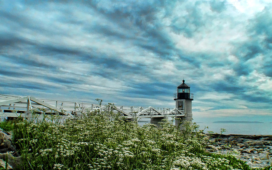 Marshall Point Light And Flowers Photograph by Carolyn Fletcher Fine