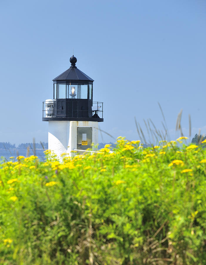 Marshall Point Lighthouse and field of goldenrod  Photograph by Marianne Campolongo