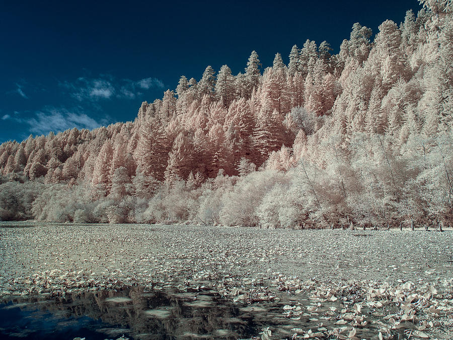 Marshall Pond in Infrared Photograph by Greg Nyquist