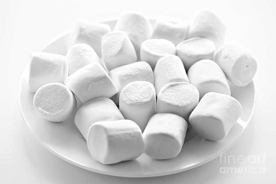 Candy Photograph - Marshmallows on plate by Elena Elisseeva