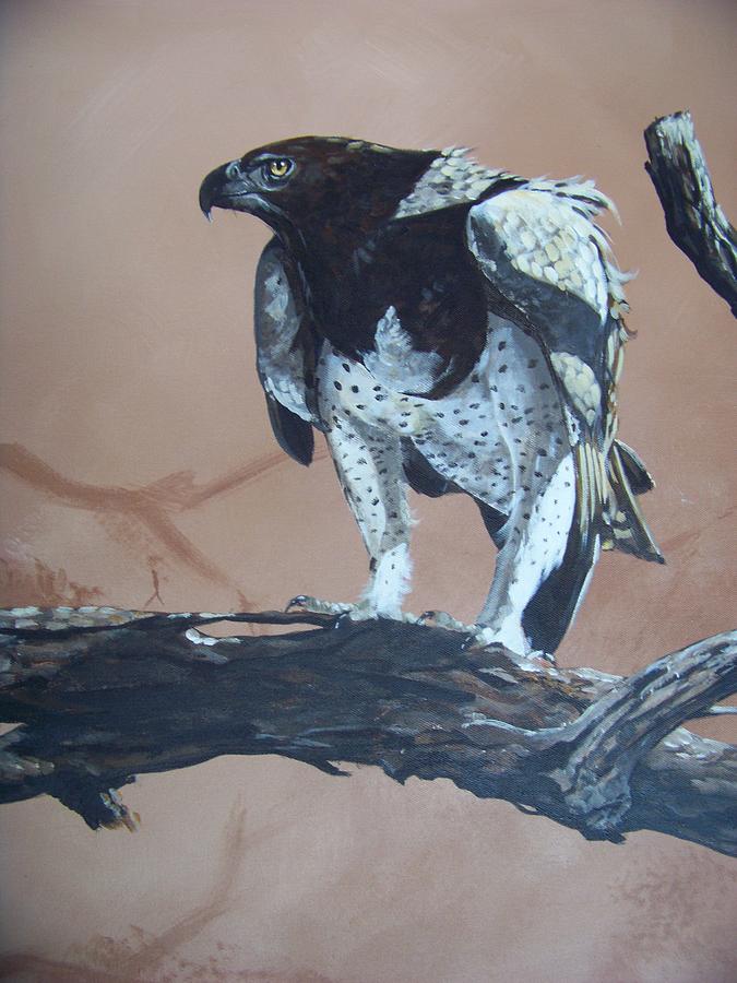 Eagle Painting - Martial Eagle by Robert Teeling