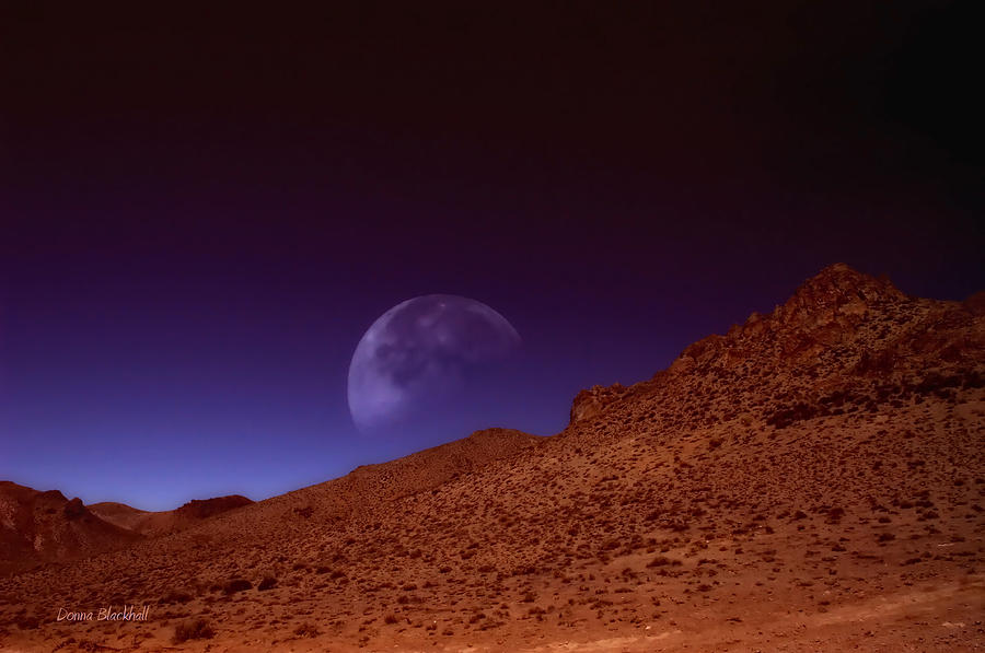 Martian Moon Photograph by Donna Blackhall