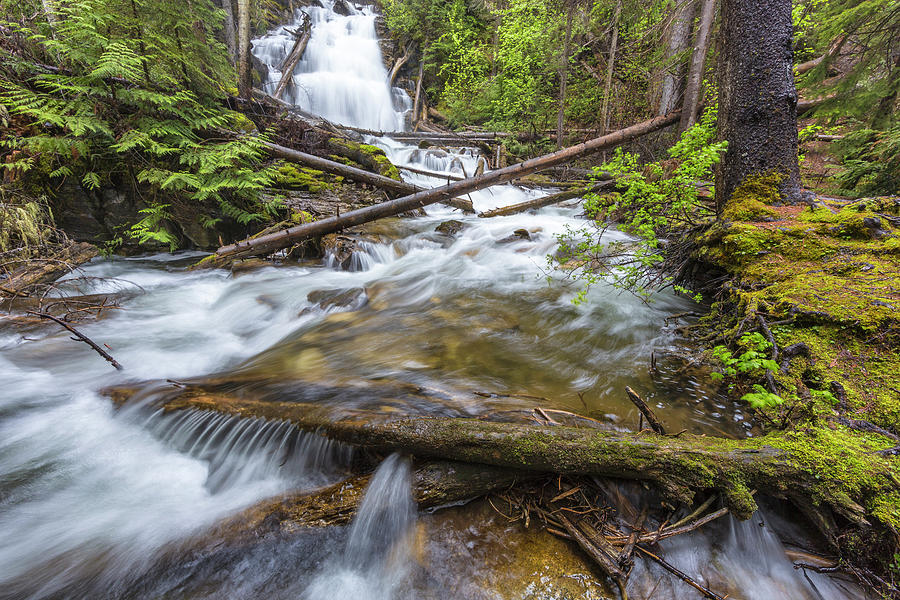 Martin Falls In The Flathead National Photograph by Chuck Haney - Fine ...