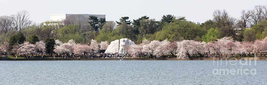 Martin Luther King Memorial 1079 Photograph by Jack Schultz