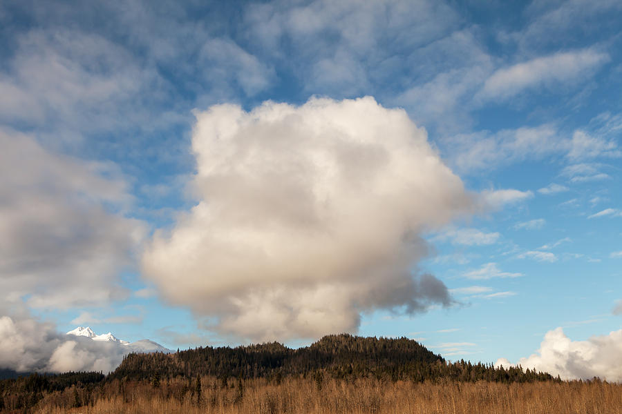 Marvelous Cloud Photograph by Michele Cornelius