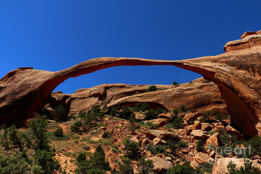 Marvelous Landscape Arch  Photograph by Christiane Schulze Art And Photography