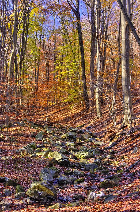 Maryland Country Roads - Autumn Colorfest No. 6 - Catoctin Mountains Frederick County MD Photograph by Michael Mazaika