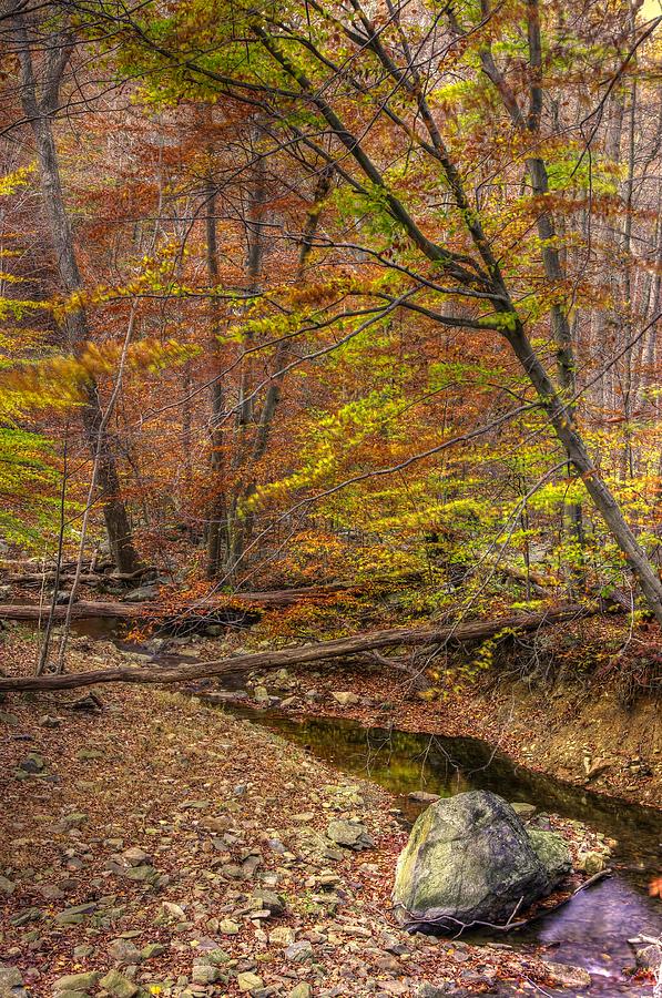 Maryland Country Roads - Autumn Colorfest No. 7 - Catoctin Mountains Frederick County MD Photograph by Michael Mazaika