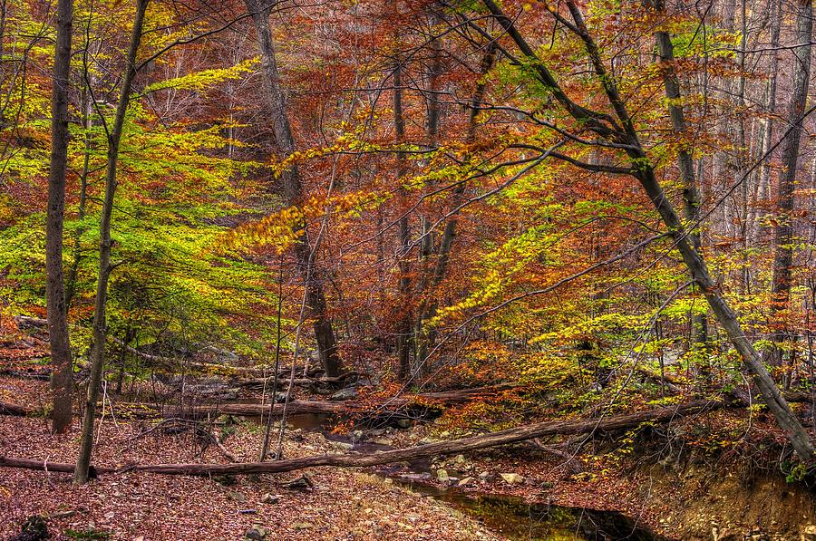 Maryland Country Roads - Autumn Colorfest No. 8 - Catoctin Mountains Frederick County MD Photograph by Michael Mazaika