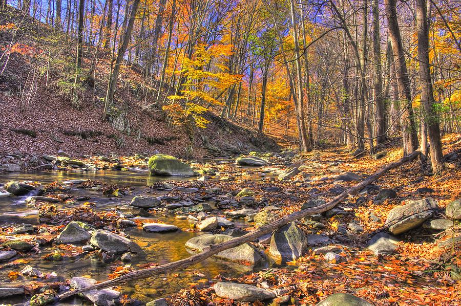 Maryland Country Roads - Autumn Colorfest No. 9 - Catoctin Mountains Frederick County MD Photograph by Michael Mazaika