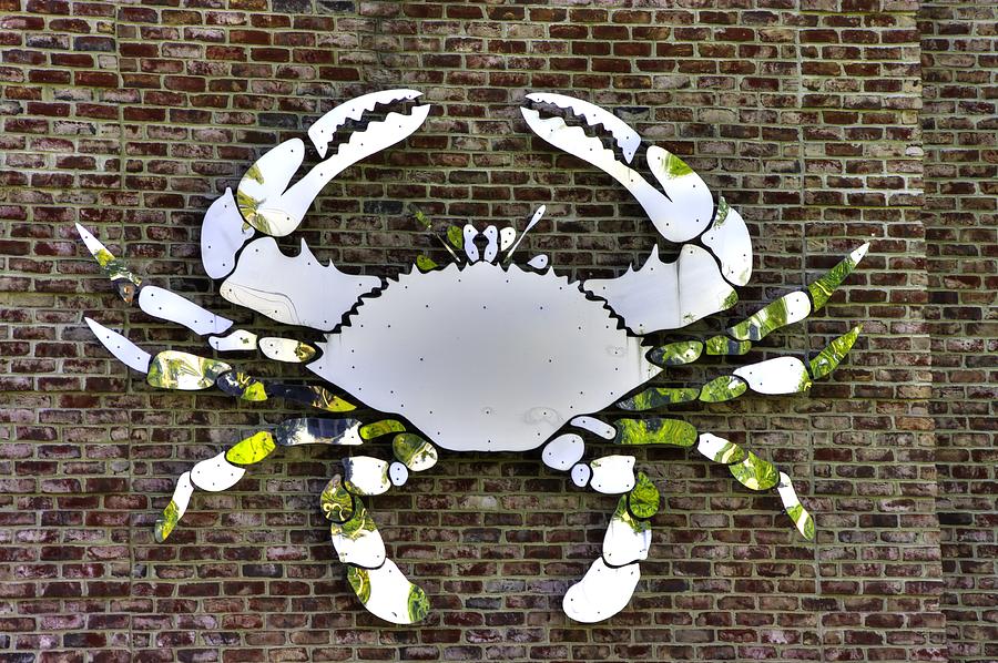 Maryland Country Roads - Camo Crabby 1A Photograph by Michael Mazaika