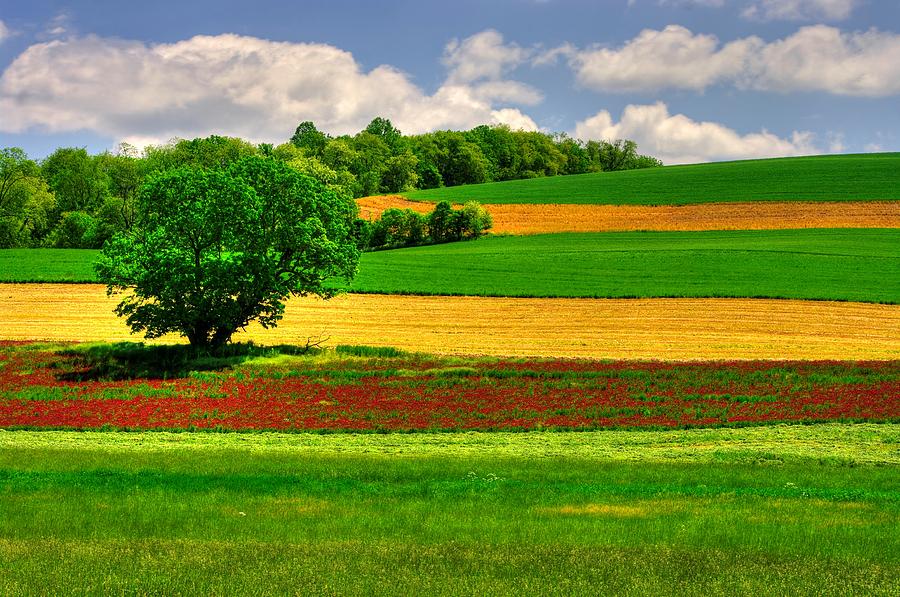 Maryland Country Roads - Farm Fields Springtime - No. 1 - Layers and Colors Photograph by Michael Mazaika