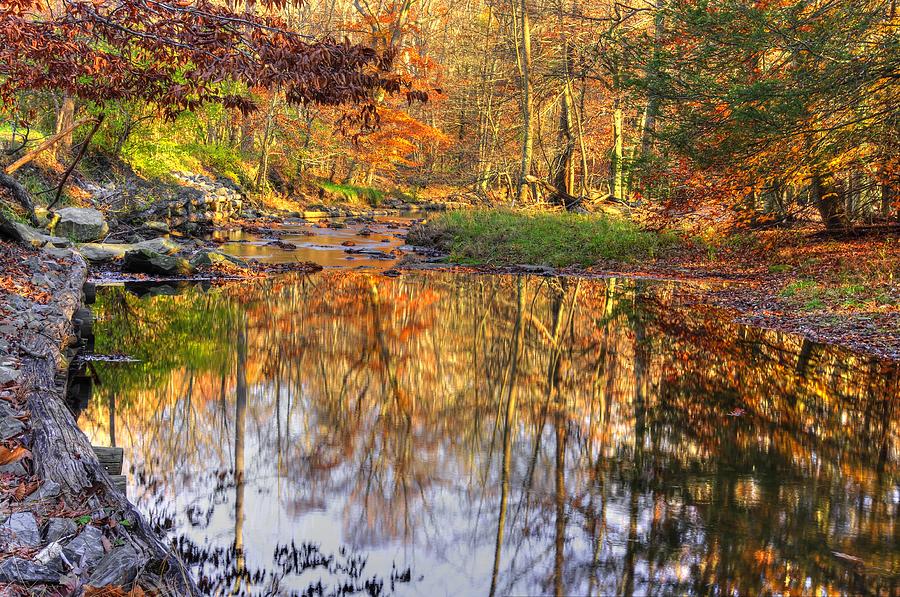 Maryland Country Roads - Moments for Reflection No. 1 - Cunningham Falls State Park Autumn Photograph by Michael Mazaika