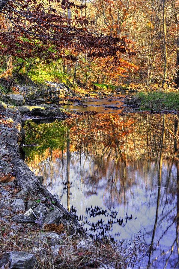 Maryland Country Roads - Moments for Reflection No. 2 - Cunningham Falls State Park Autumn Photograph by Michael Mazaika