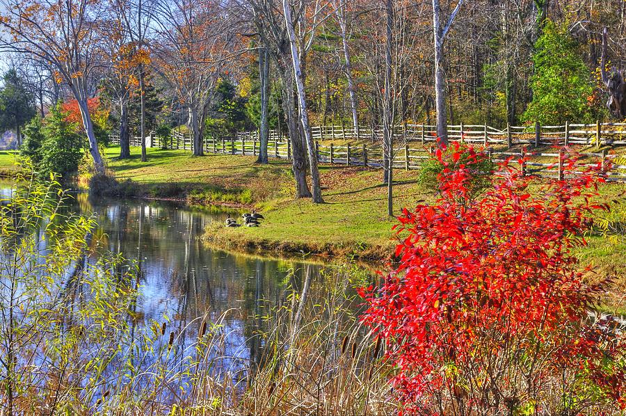 Maryland Country Roads - The Pond at Stronghold - Sugarloaf Mountain Frederick County MD Photograph by Michael Mazaika