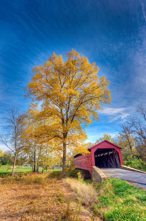 Maryland Covvered Bridge in Autumn Photograph by Patrick Wolf