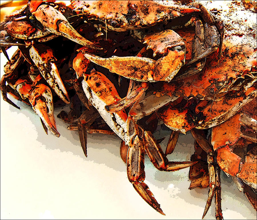 Maryland Crabs Digital Art by Ginger Wakem