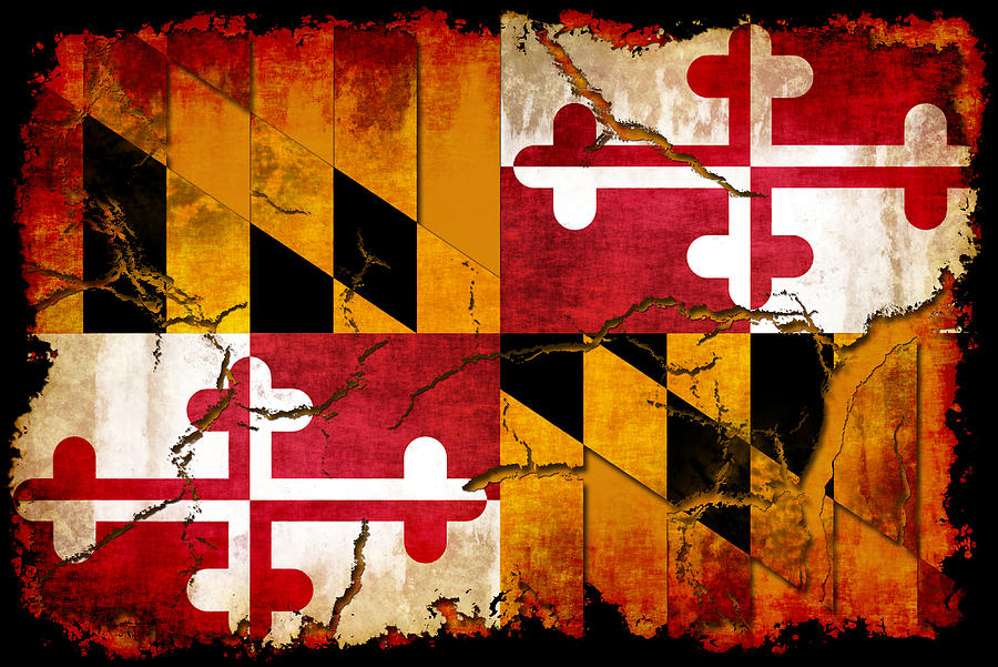 Maryland Grunge Style Flag Digital Art by David G Paul