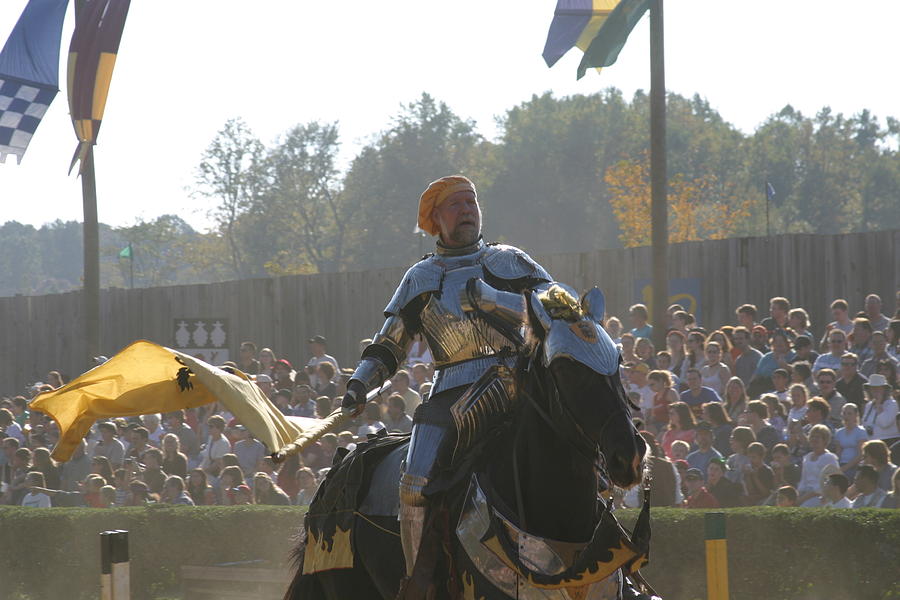 Actor Photograph - Maryland Renaissance Festival - Jousting and Sword Fighting - 1212142 by DC Photographer