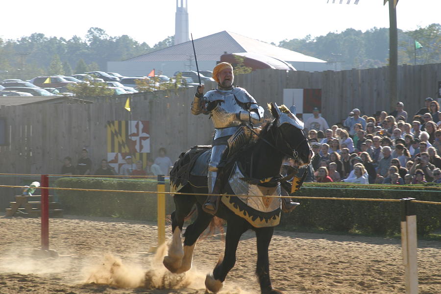 Actor Photograph - Maryland Renaissance Festival - Jousting and Sword Fighting - 1212155 by DC Photographer