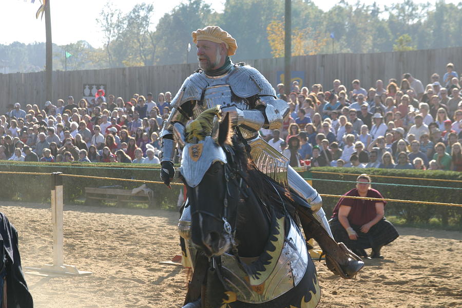 Actor Photograph - Maryland Renaissance Festival - Jousting and Sword Fighting - 1212165 by DC Photographer