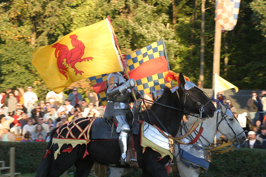 Actor Photograph - Maryland Renaissance Festival - Jousting and Sword Fighting - 121225 by DC Photographer