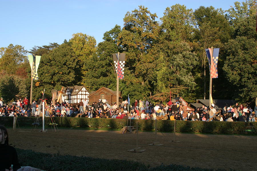 Actor Photograph - Maryland Renaissance Festival - Jousting and Sword Fighting - 12124 by DC Photographer