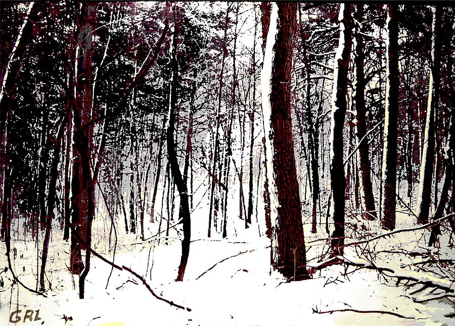 MARYLAND WINTER FOREST 2c ORIGINAL DIGITAL ART Painting by G Linsenmayer