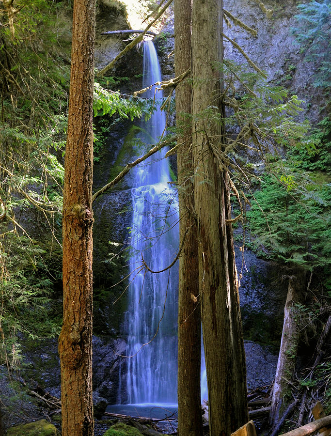 Nature Photograph - Marymere Falls by SEA Art