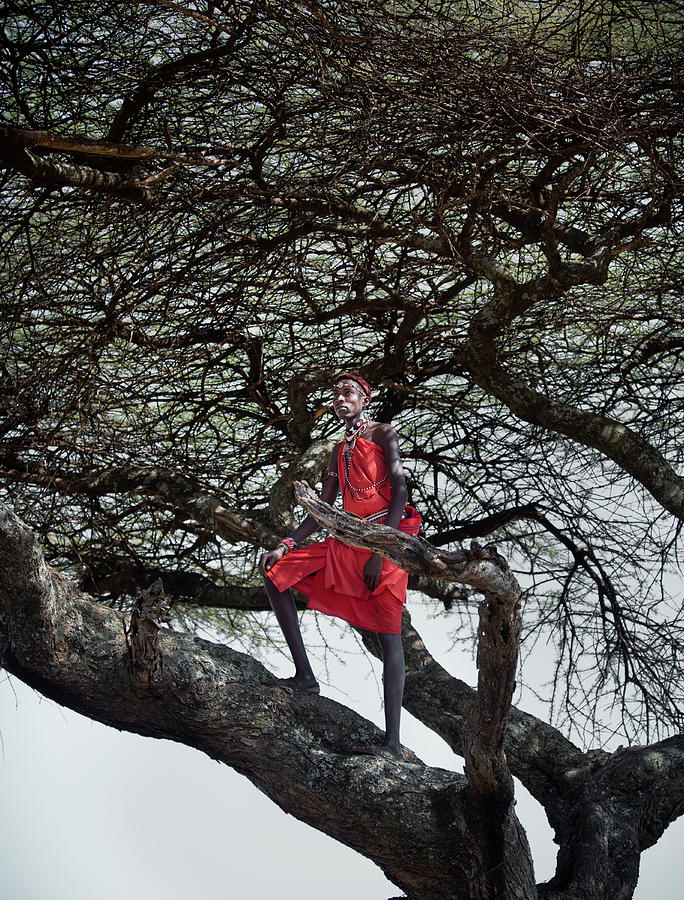 Landscape Photograph - Masaai Warrior Stands In A Tree Looking by Ryan Heffernan