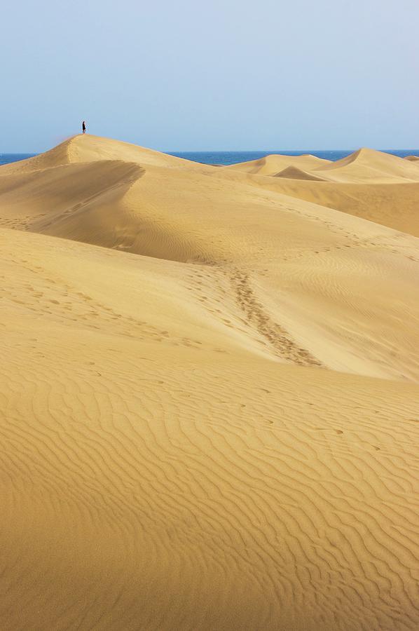 Maspalomas Sand Dunes. Photograph by Mark Williamson/science Photo Library