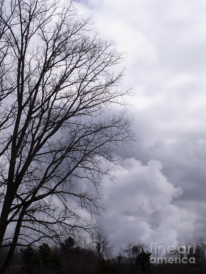 Masquerading as Cloud Photograph by Ann Horn