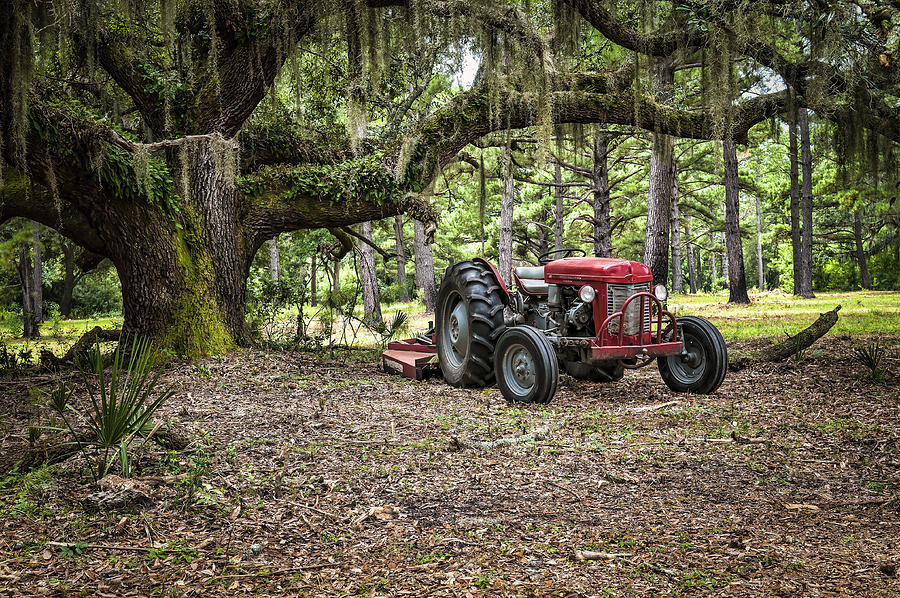 Farm Photograph - Massey Ferguson - Live Oak by Scott Hansen