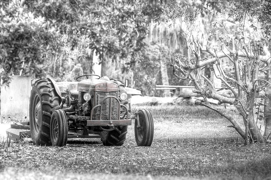 Massey Ferguson Tractor Photograph by Scott Hansen