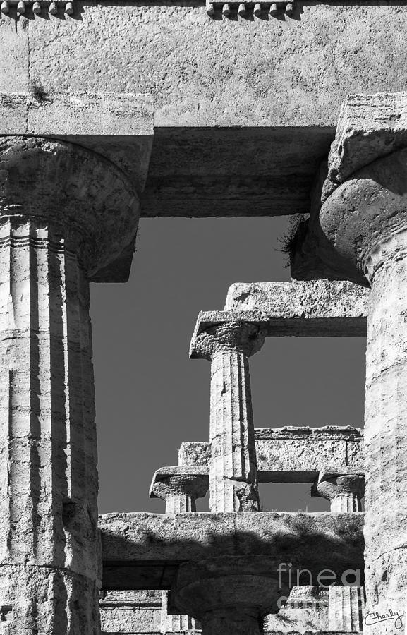 Massive Columns of Paestum Photograph by Prints of Italy