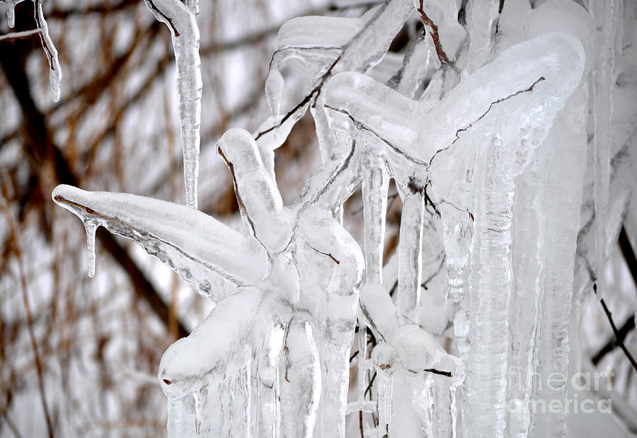 Winter Photograph - Massive Icicles by Staci Bigelow