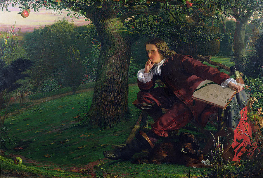 Apple Painting - Isaac Newton by Robert Hannah