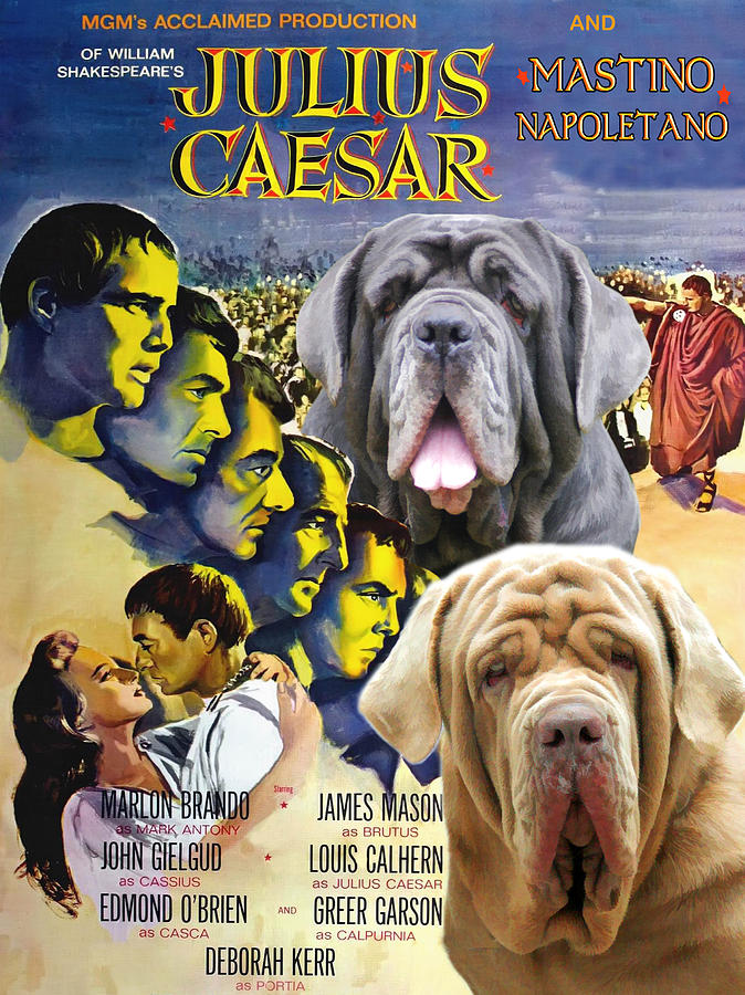 Mastino Napoletano - Neapolitan Mastiff Art Canvas Print - Julius Caesar Movie Poster Painting by Sandra Sij