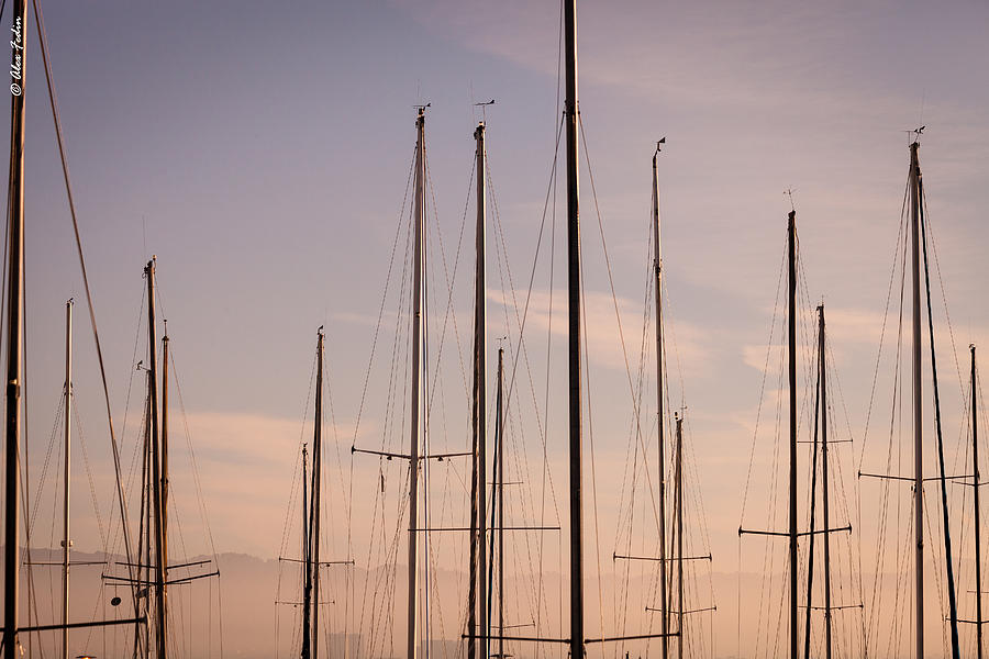Masts Photograph by Alexander Fedin
